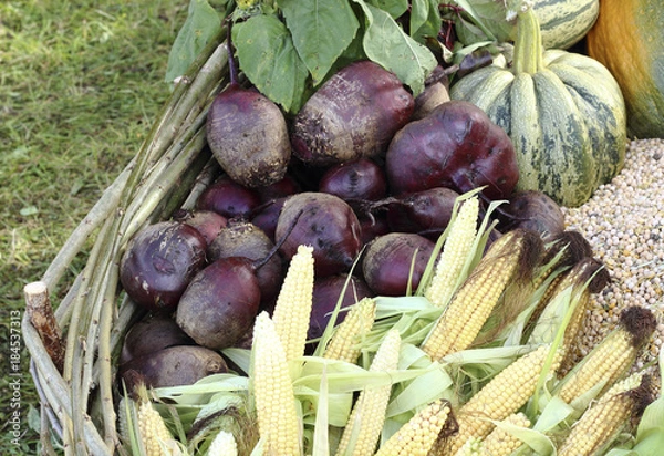 Obraz Fresh raw vegetables