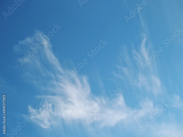 Obraz Soft atmospheric haze and thin cloud texture overhead 