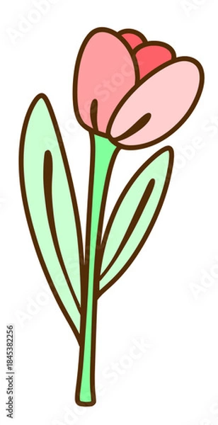 Obraz pink tulip flower