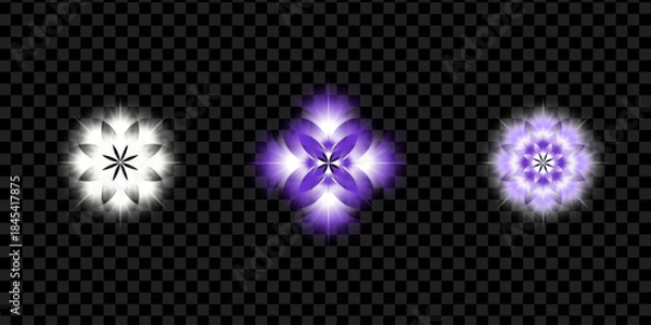 Fototapeta Vector illustration of beautiful abstract stars, flowers and snowflakes isolated on transparent background.