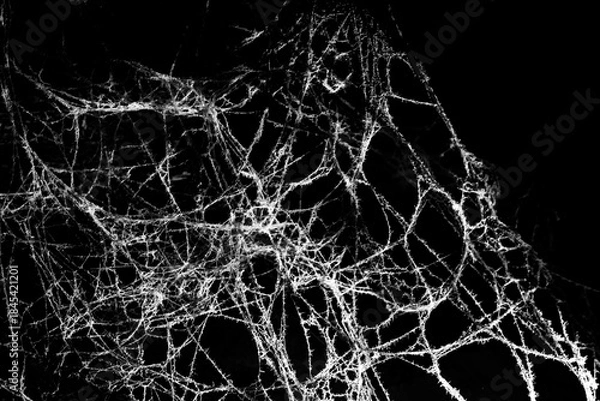 Obraz spider web on a dark background