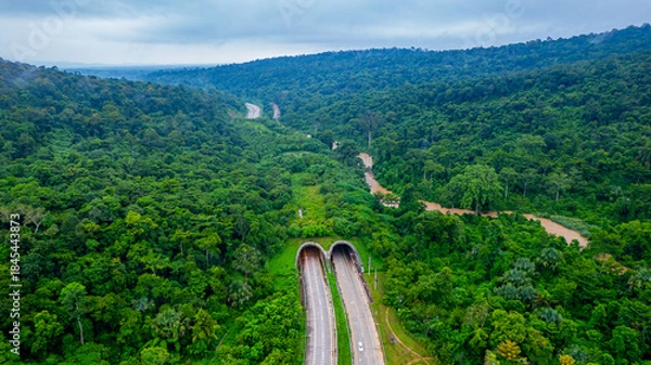 Fototapeta The tunnel for vehicles through the forest was built to connect the forest areas, allowing wildlife to cross back and forth.