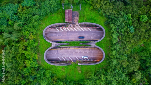Fototapeta The tunnel for vehicles through the forest was built to connect the forest areas, allowing wildlife to cross back and forth.