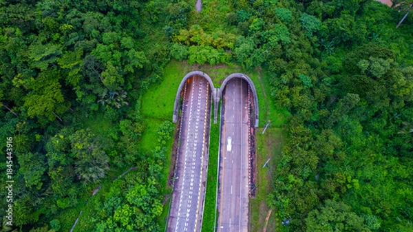 Fototapeta The tunnel for vehicles through the forest was built to connect the forest areas, allowing wildlife to cross back and forth.