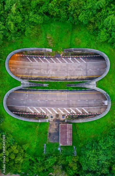 Fototapeta The tunnel for vehicles through the forest was built to connect the forest areas, allowing wildlife to cross back and forth.