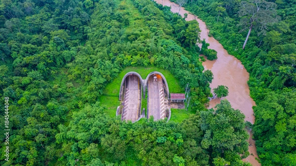Fototapeta The tunnel for vehicles through the forest was built to connect the forest areas, allowing wildlife to cross back and forth.