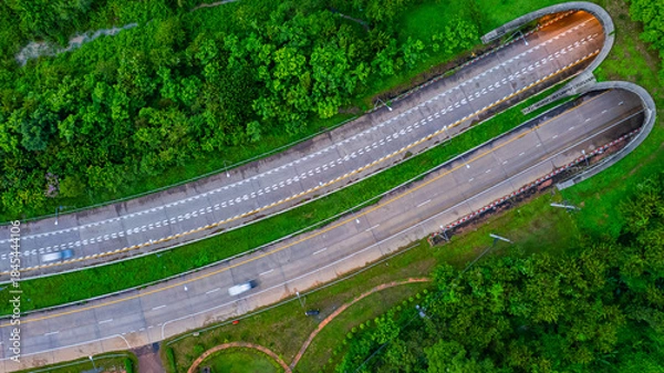 Fototapeta The tunnel for vehicles through the forest was built to connect the forest areas, allowing wildlife to cross back and forth.