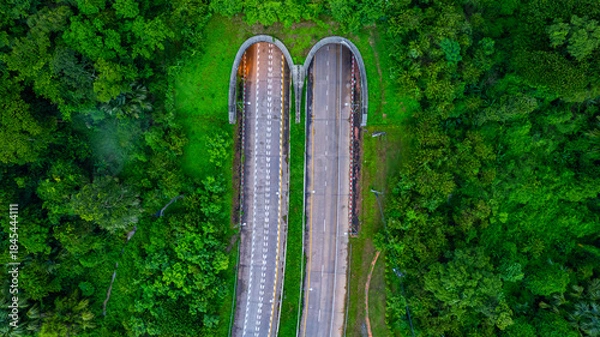 Fototapeta The tunnel for vehicles through the forest was built to connect the forest areas, allowing wildlife to cross back and forth.