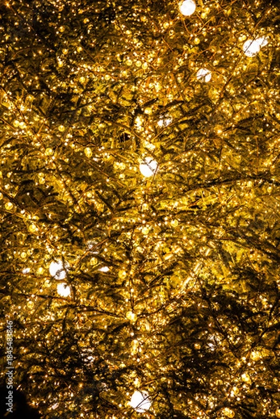 Obraz クリスマス