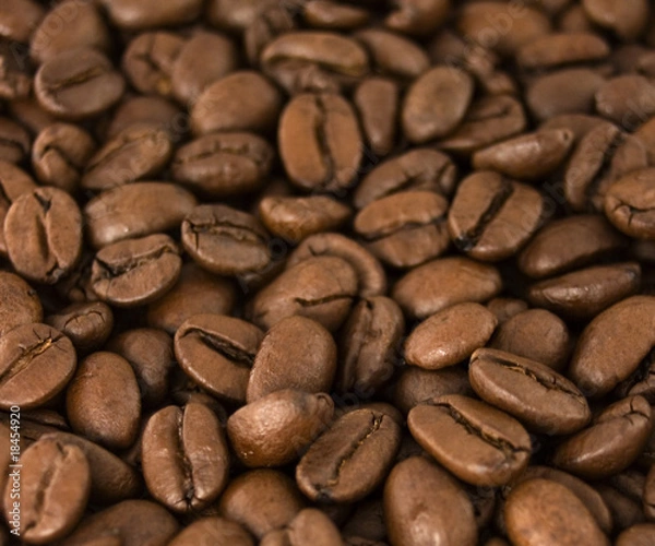 Fototapeta coffee beans