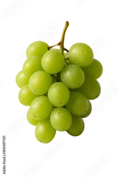 Obraz green grapes isolated on white