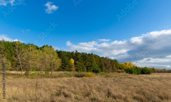 Obraz Autumn day in forest