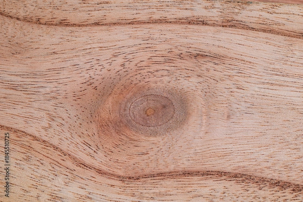 Obraz Natural background. Wood plank texture