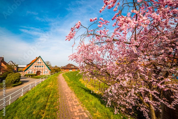 Fototapeta Altes Land