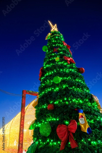 Obraz Árvore de Natal vista de ângulo baixo ao anoitecer
