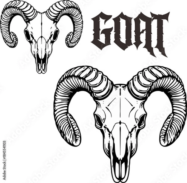 Obraz Goat skull head vector