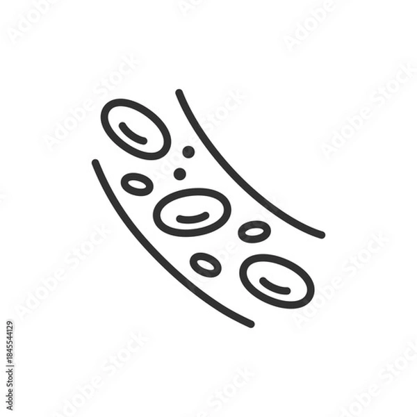 Fototapeta Blood vessel with cells, linear icon. Circulation and bloodstream components. Line with editable stroke.