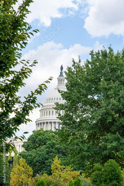 Obraz U.S. Capitol Dome Framed by Trees Under Cloudy Sky