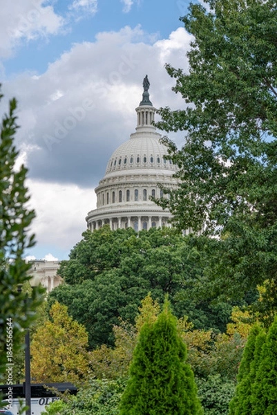 Obraz U.S. Capitol Dome Framed by Trees Under Cloudy Sky