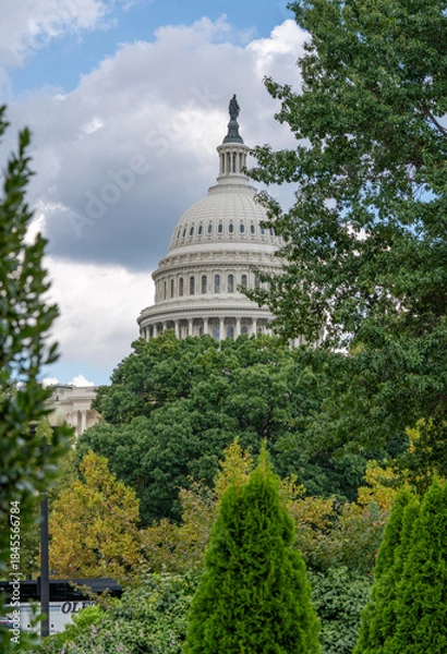 Obraz U.S. Capitol Dome Framed by Trees Under Cloudy Sky