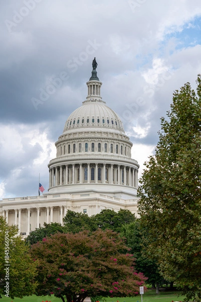 Obraz U.S. Capitol Dome Framed by Trees Under Cloudy Sky