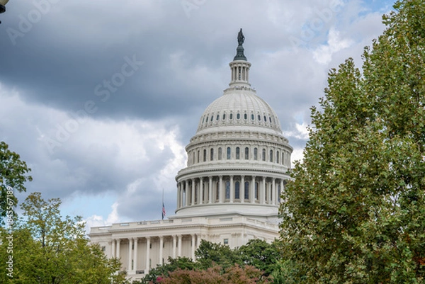 Obraz U.S. Capitol Dome Framed by Trees Under Cloudy Sky