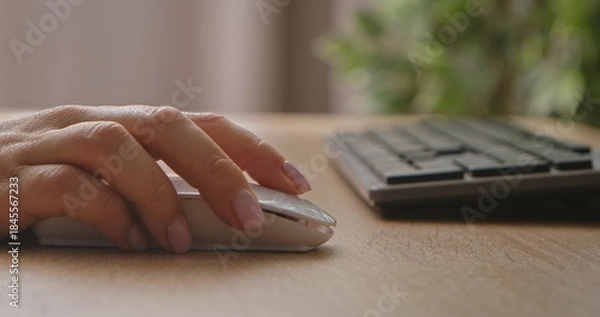 Obraz Close up of Hand Using a Computer Mouse