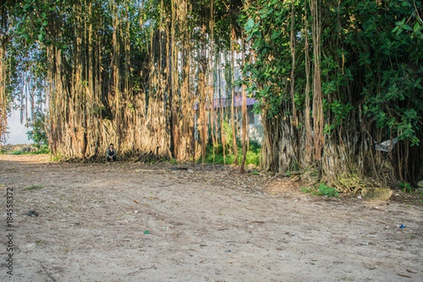 Obraz The Baw Baw Lady