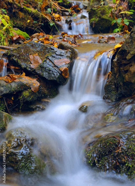 Obraz small waterfall in autumn forest