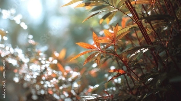 Obraz Autumnal foliage in a soft focus outdoor scene with warm sunlight glow