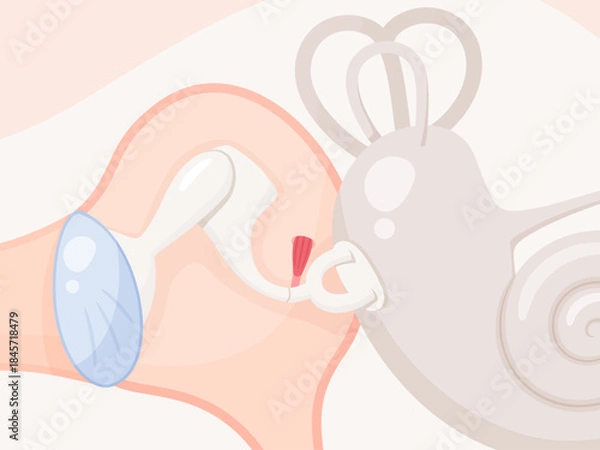 Fototapeta アブミ骨筋のイラスト素材