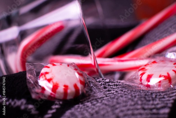 Fototapeta Peppermint isolated in front of other variations of mint. 