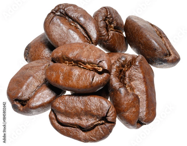 Obraz Roasted coffee beans, shot close-up on an isolated background