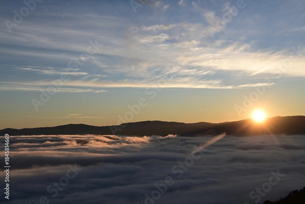 Fototapeta beautiful