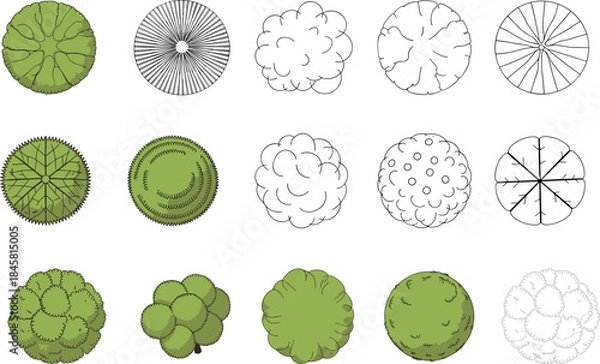 Fototapeta Flat tree foliage collection, bushes, greenery, round leaves, tree top views, bush patterns, plant textures, flat vector illustration