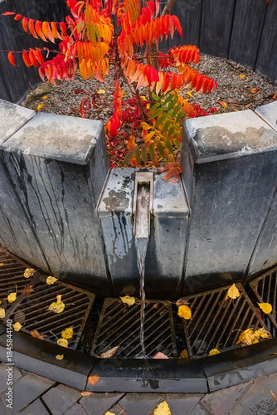 Obraz A stream of water flows from a spring, a structure made of stone and metal. A source of mineral water