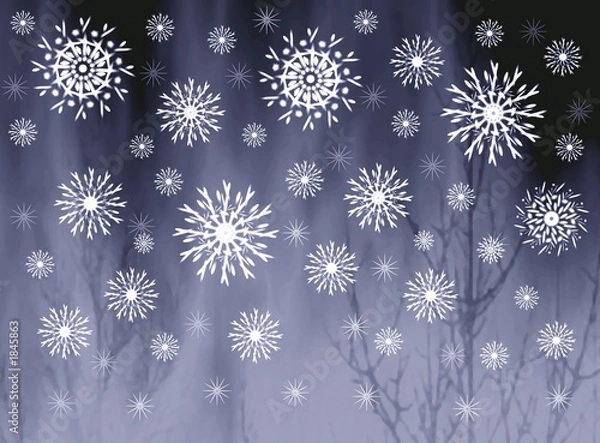 Fototapeta snowflakes on misty grey background