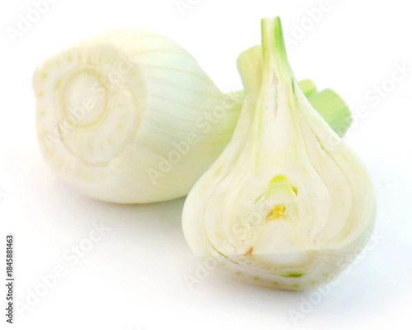 Obraz Florence fennel bulb