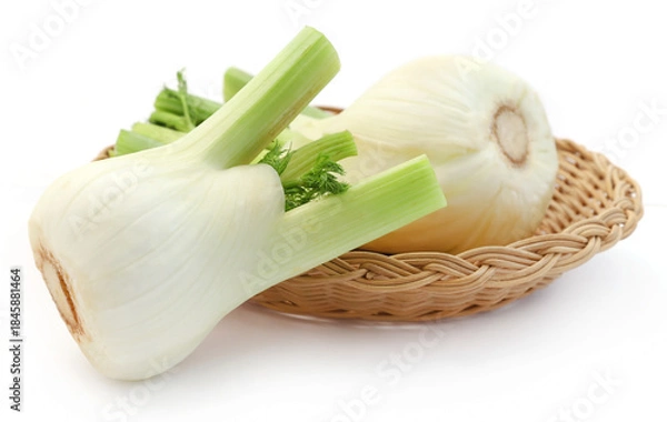 Obraz Florence fennel bulb