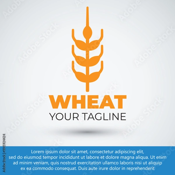 Obraz simple flat wheat logo design