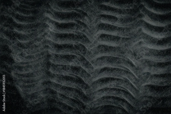 Fototapeta Fossils texture