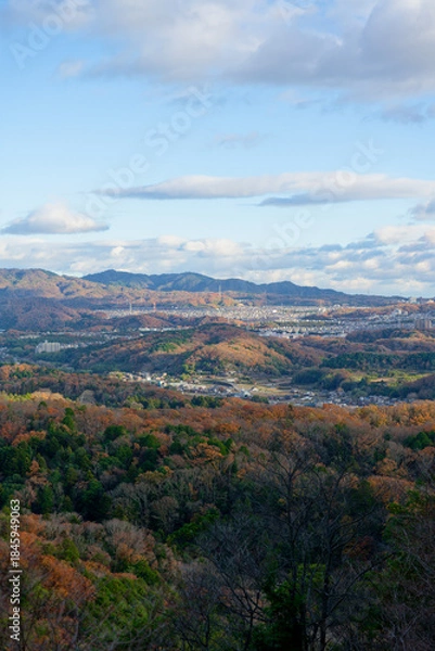 Fototapeta 丹生山の登山道から見える景色