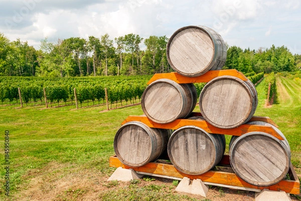 Fototapeta Stack of oak wine barrels on a vineyard in summer, Nova Scotia, Canada