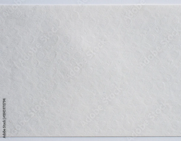 Fototapeta エンボス紙のテクスチャ/Embossed Paper Texture