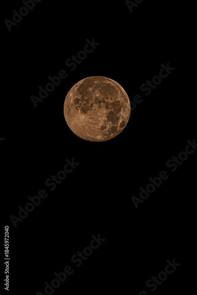 Obraz moon in the night sky