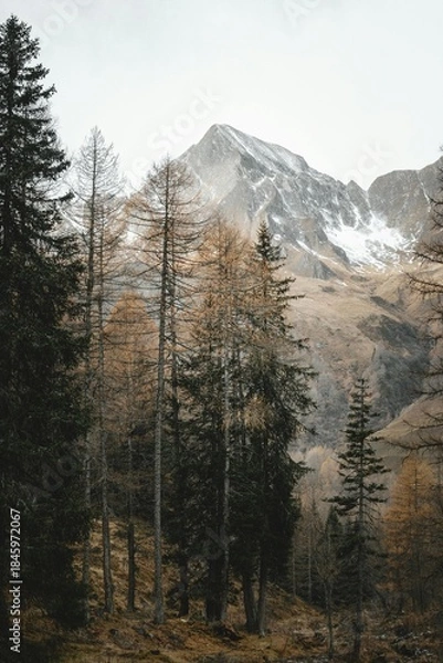 Obraz mount hood oregon