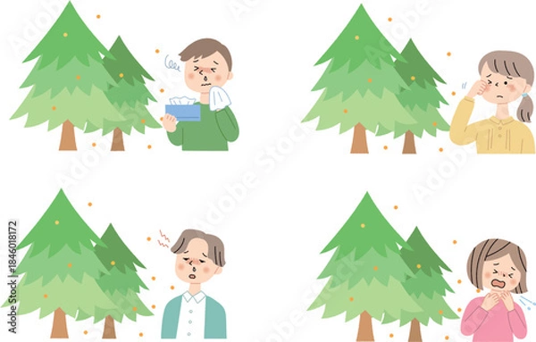 Fototapeta 花粉を出す杉の木と花粉症の人セット