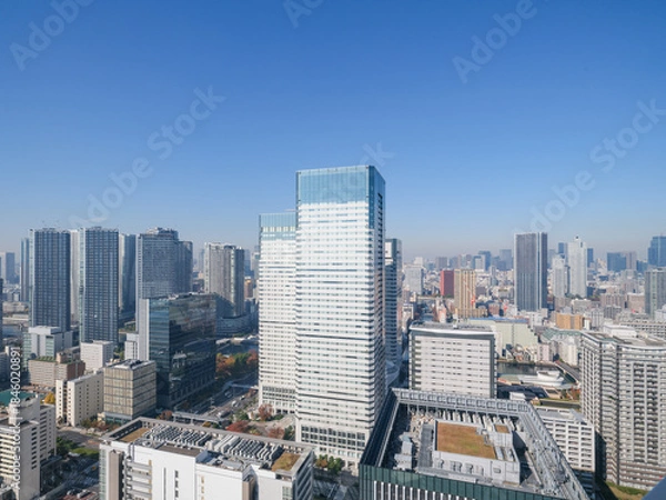 Obraz 東京都の眺望