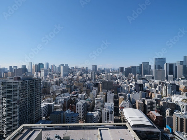 Obraz 東京都の眺望