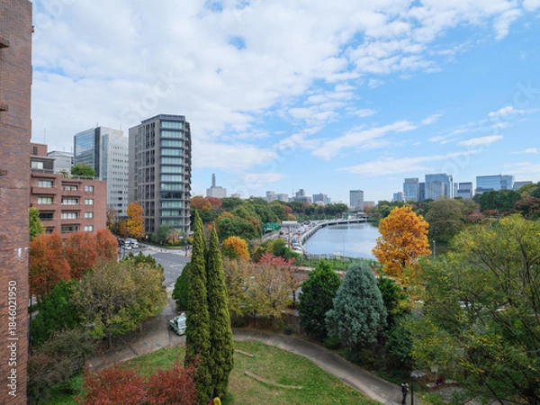 Obraz 東京都の眺望